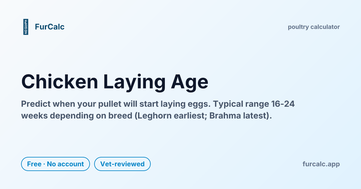 Chicken Laying Age Calculator — When Will My Hen Start Laying? | FurCalc